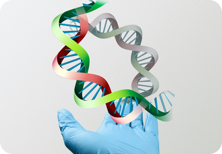 bioavailable