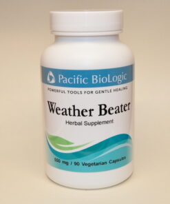 Weather Beater