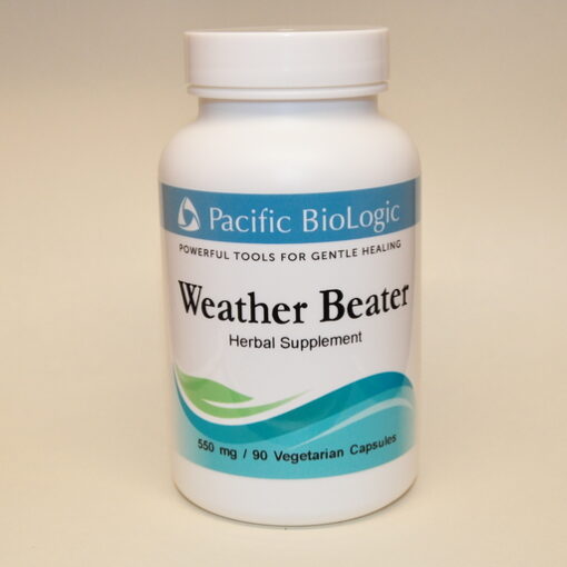 Weather Beater