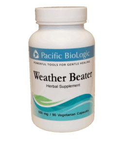 Weather Beater